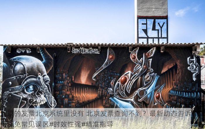 北京的发票北京系统里没有 北京发票查询不到？最新动态告诉你如何避免常见误区#时效性强#精准指导