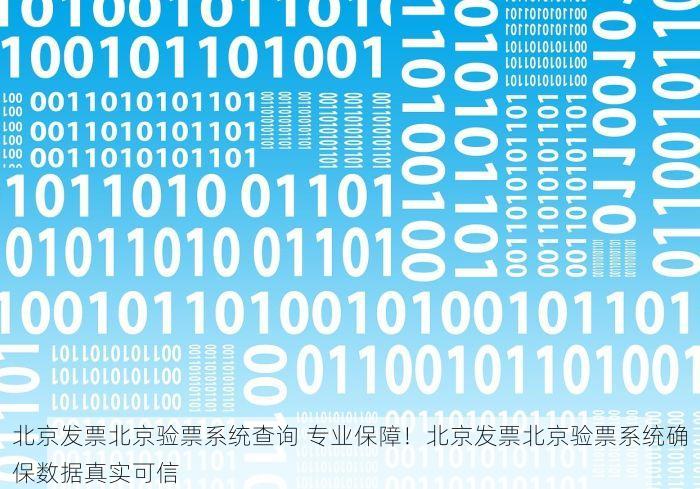 北京发票北京验票系统查询 专业保障！北京发票北京验票系统确保数据真实可信