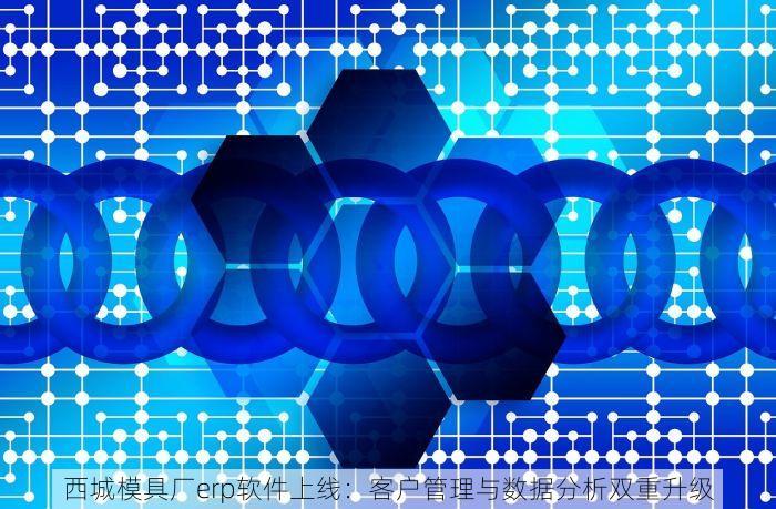 西城模具厂erp软件上线：客户管理与数据分析双重升级