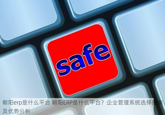 朝阳erp是什么平台 朝阳ERP是什么平台？企业管理系统选择指南及优势分析