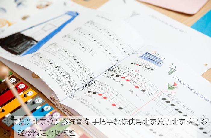 北京发票北京验票系统查询 手把手教你使用北京发票北京验票系统，轻松搞定票据核验