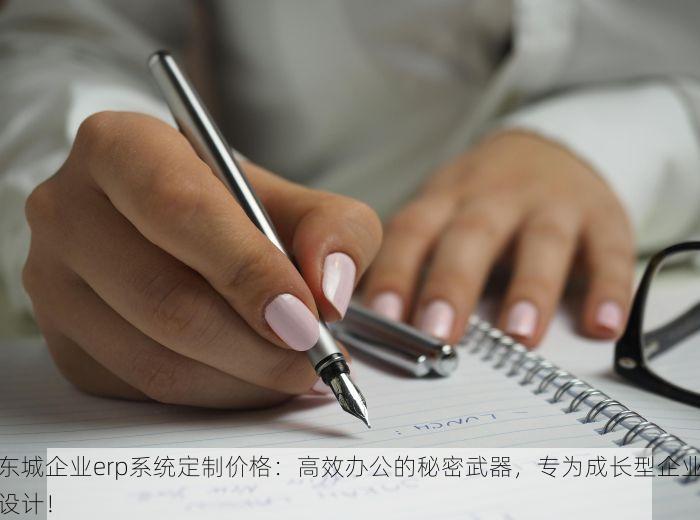 东城企业erp系统定制价格：高效办公的秘密武器，专为成长型企业设计！
