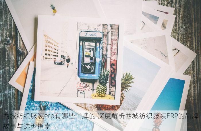 西城纺织服装erp有哪些品牌的 深度解析西城纺织服装ERP的品牌故事与选型指南