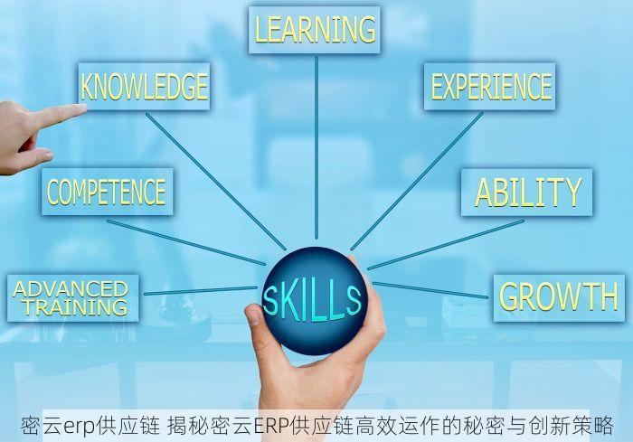密云erp供应链 揭秘密云ERP供应链高效运作的秘密与创新策略