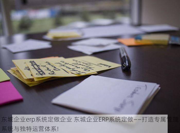 东城企业erp系统定做企业 东城企业ERP系统定做——打造专属管理系统与独特运营体系!