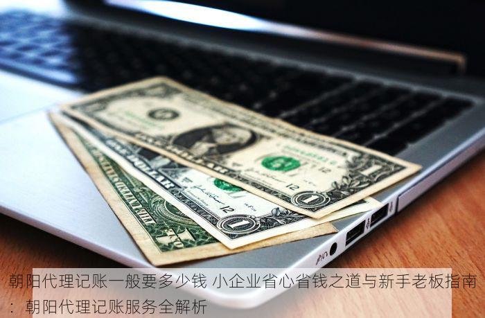 朝阳代理记账一般要多少钱 小企业省心省钱之道与新手老板指南：朝阳代理记账服务全解析