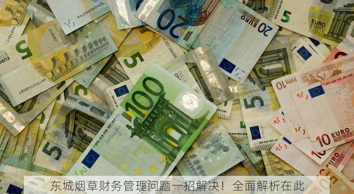 东城烟草财务管理问题一招解决！全面解析在此