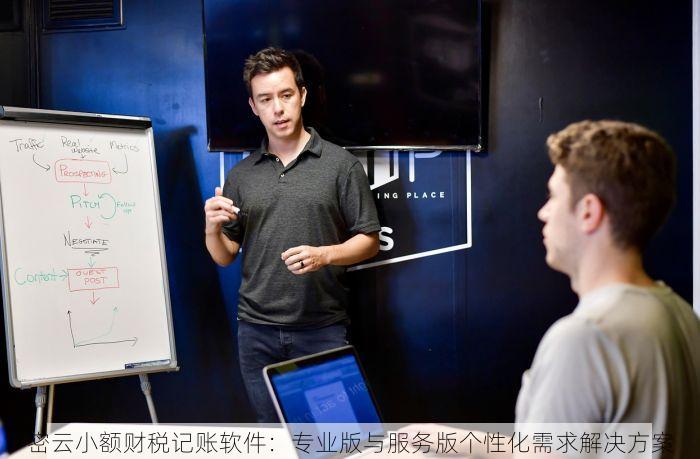 密云小额财税记账软件：专业版与服务版个性化需求解决方案