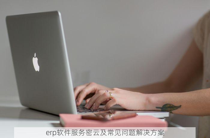 erp软件服务密云及常见问题解决方案