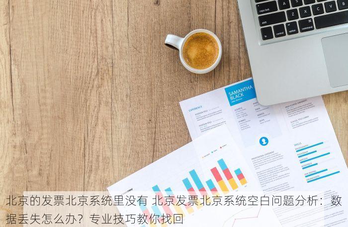 北京的发票北京系统里没有 北京发票北京系统空白问题分析：数据丢失怎么办？专业技巧教你找回