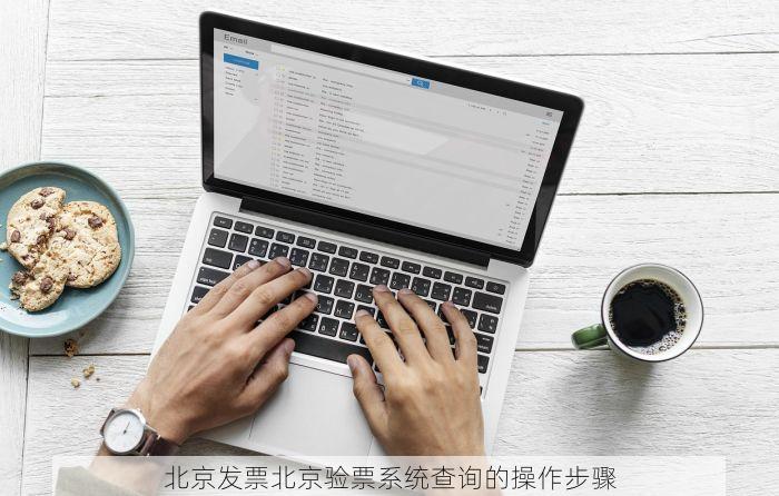 北京发票北京验票系统查询的操作步骤