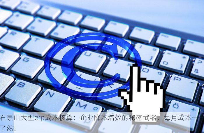 石景山大型erp成本核算：企业降本增效的秘密武器，每月成本一目了然！