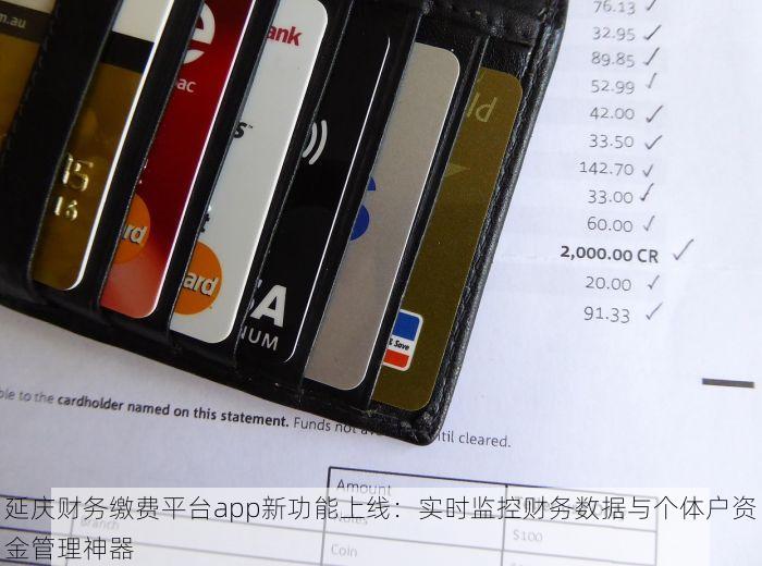 延庆财务缴费平台app新功能上线：实时监控财务数据与个体户资金管理神器