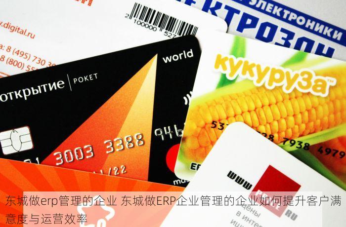 东城做erp管理的企业 东城做ERP企业管理的企业如何提升客户满意度与运营效率