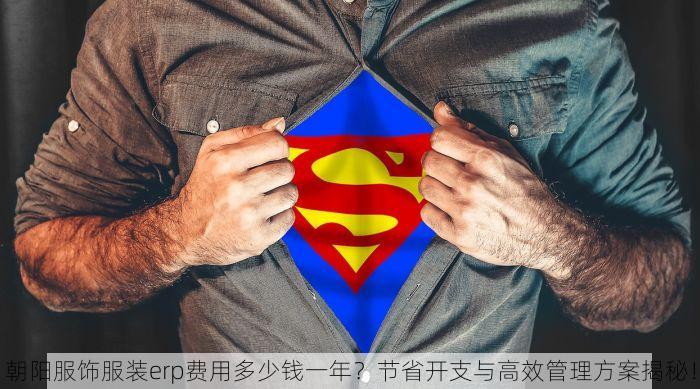 朝阳服饰服装erp费用多少钱一年？节省开支与高效管理方案揭秘！