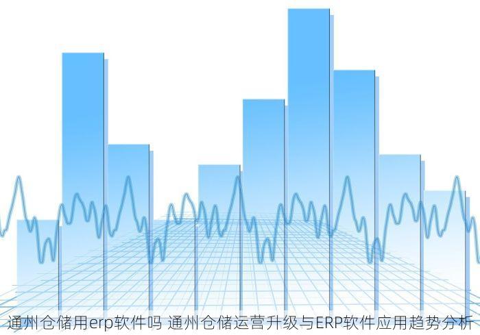 通州仓储用erp软件吗 通州仓储运营升级与ERP软件应用趋势分析