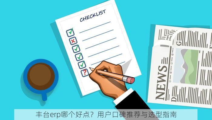 丰台erp哪个好点？用户口碑推荐与选型指南