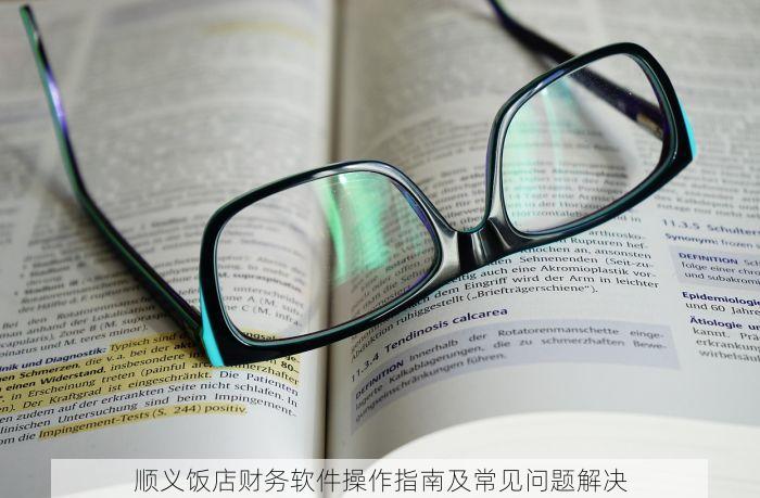 顺义饭店财务软件操作指南及常见问题解决