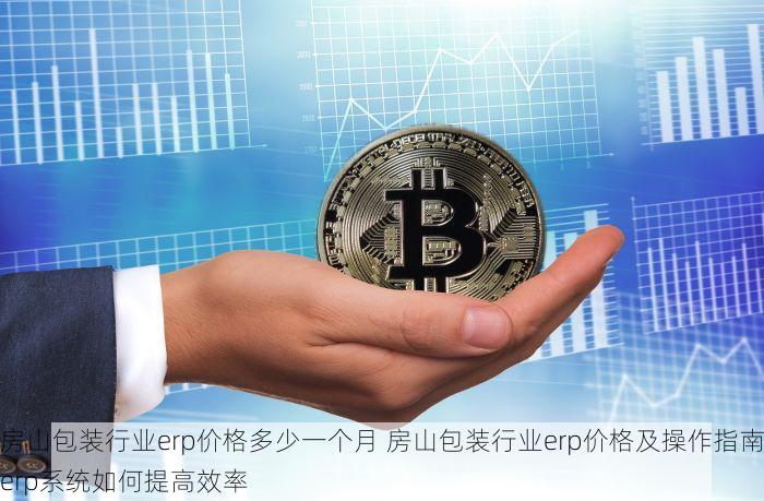 房山包装行业erp价格多少一个月 房山包装行业erp价格及操作指南erp系统如何提高效率
