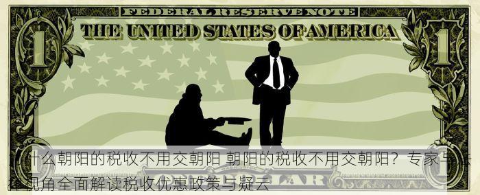 为什么朝阳的税收不用交朝阳 朝阳的税收不用交朝阳？专家与法律视角全面解读税收优惠政策与疑云