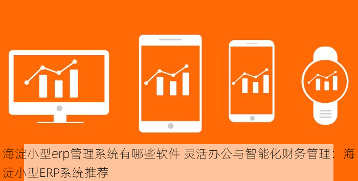 海淀小型erp管理系统有哪些软件 灵活办公与智能化财务管理：海淀小型ERP系统推荐