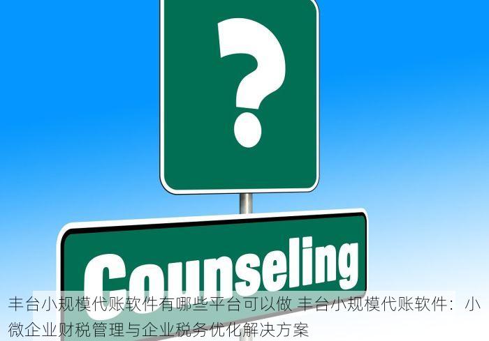 丰台小规模代账软件有哪些平台可以做 丰台小规模代账软件：小微企业财税管理与企业税务优化解决方案