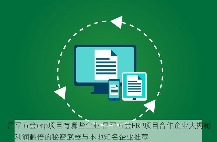 昌平五金erp项目有哪些企业 昌平五金ERP项目合作企业大揭秘：利润翻倍的秘密武器与本地知名企业推荐