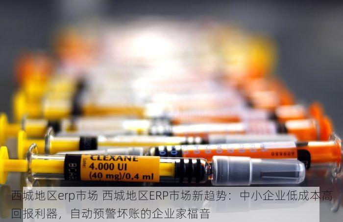 西城地区erp市场 西城地区ERP市场新趋势：中小企业低成本高回报利器，自动预警坏账的企业家福音