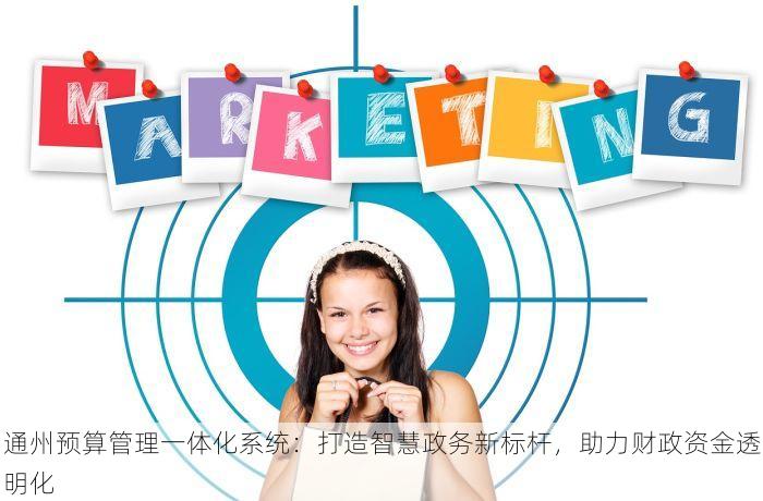 通州预算管理一体化系统：打造智慧政务新标杆，助力财政资金透明化