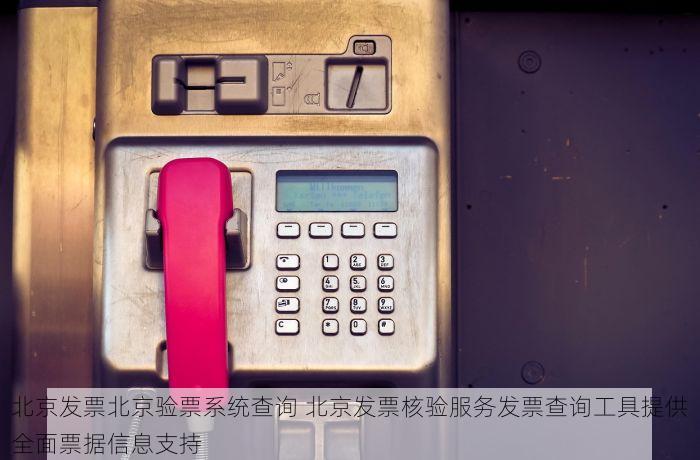 北京发票北京验票系统查询 北京发票核验服务发票查询工具提供全面票据信息支持