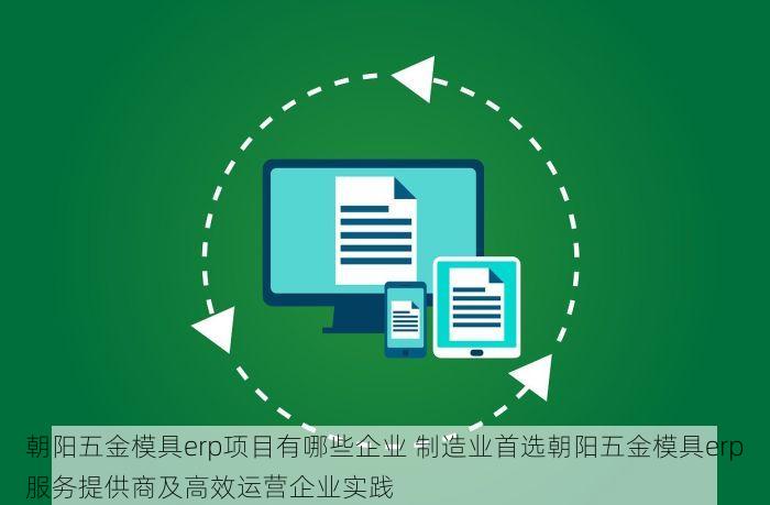 朝阳五金模具erp项目有哪些企业 制造业首选朝阳五金模具erp服务提供商及高效运营企业实践