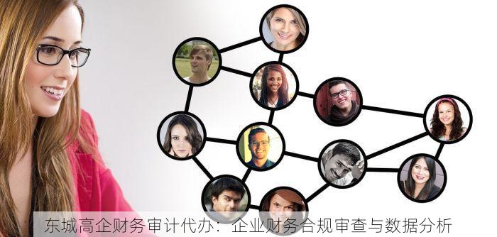 东城高企财务审计代办：企业财务合规审查与数据分析