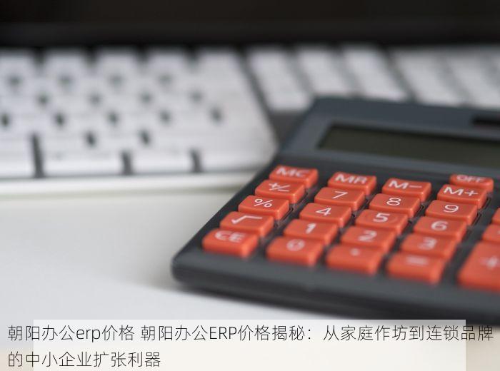 朝阳办公erp价格 朝阳办公ERP价格揭秘：从家庭作坊到连锁品牌的中小企业扩张利器
