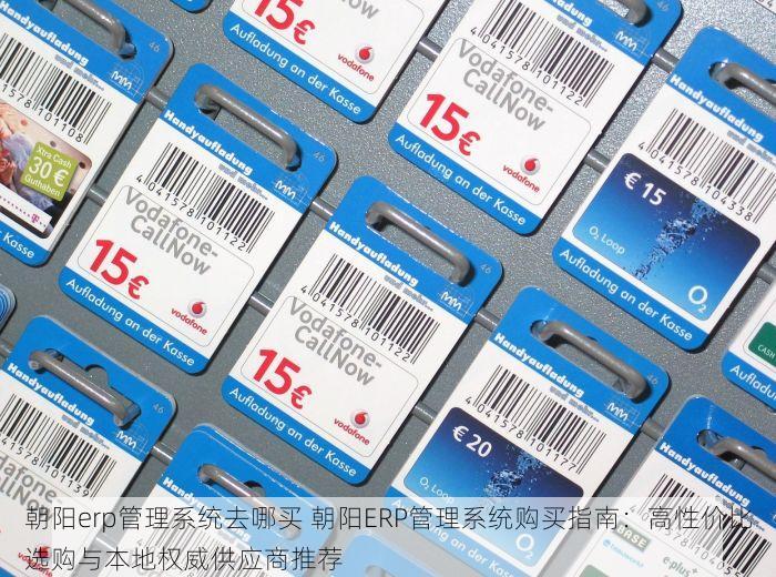 朝阳erp管理系统去哪买 朝阳ERP管理系统购买指南：高性价比选购与本地权威供应商推荐
