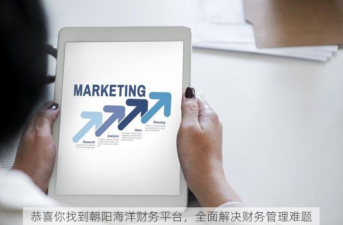 恭喜你找到朝阳海洋财务平台，全面解决财务管理难题