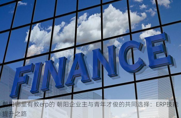 朝阳哪里有教erp的 朝阳企业主与青年才俊的共同选择：ERP技能提升之路