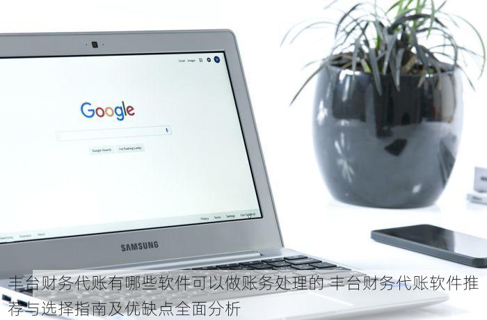丰台财务代账有哪些软件可以做账务处理的 丰台财务代账软件推荐与选择指南及优缺点全面分析