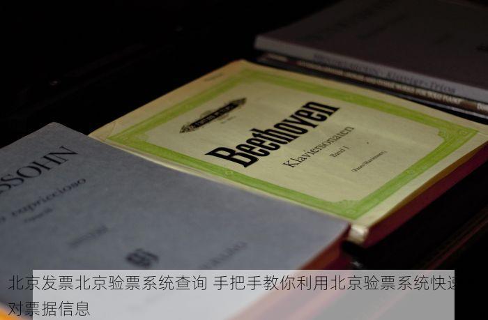 北京发票北京验票系统查询 手把手教你利用北京验票系统快速核对票据信息