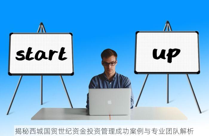 揭秘西城国贸世纪资金投资管理成功案例与专业团队解析