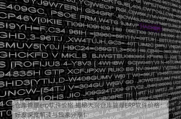 大兴仓库管理erp软件价格 揭秘大兴仓库管理ERP软件价格：值不值？好友深度解读与独家分享！