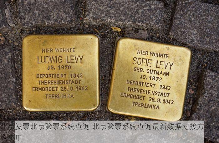 北京发票北京验票系统查询 北京验票系统查询最新数据对接方案高效实用