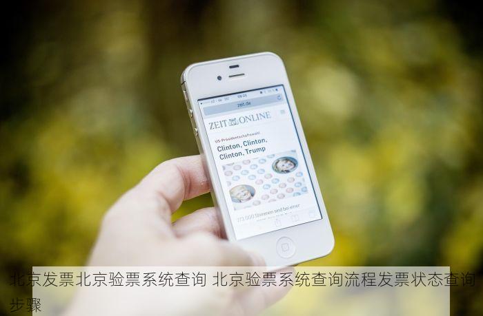 北京发票北京验票系统查询 北京验票系统查询流程发票状态查询步骤