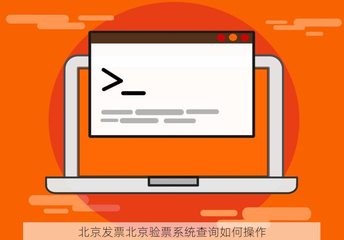北京发票北京验票系统查询如何操作