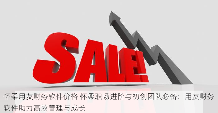 怀柔用友财务软件价格 怀柔职场进阶与初创团队必备：用友财务软件助力高效管理与成长