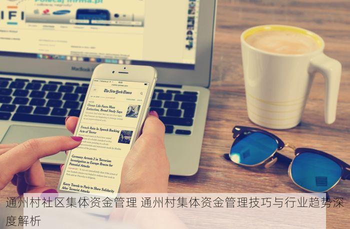 通州村社区集体资金管理 通州村集体资金管理技巧与行业趋势深度解析