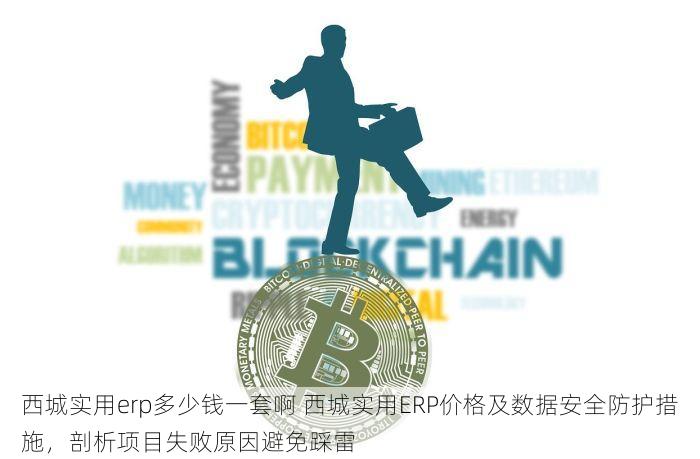 西城实用erp多少钱一套啊 西城实用ERP价格及数据安全防护措施，剖析项目失败原因避免踩雷