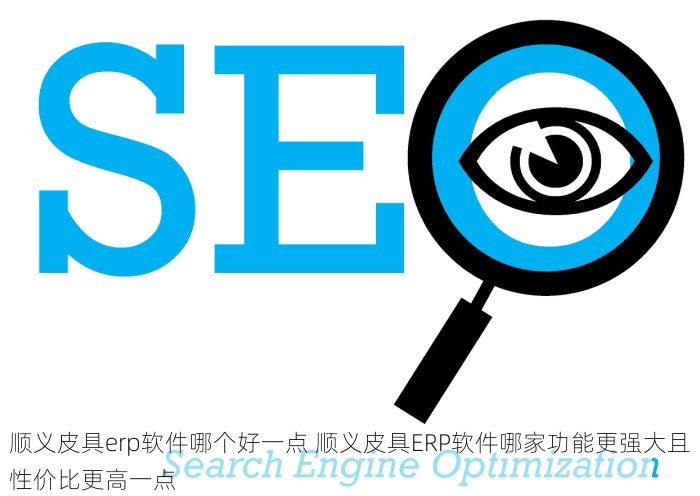 顺义皮具erp软件哪个好一点 顺义皮具ERP软件哪家功能更强大且性价比更高一点
