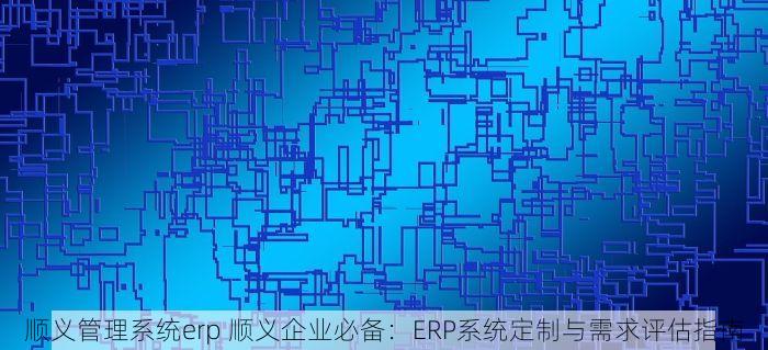 顺义管理系统erp 顺义企业必备：ERP系统定制与需求评估指南