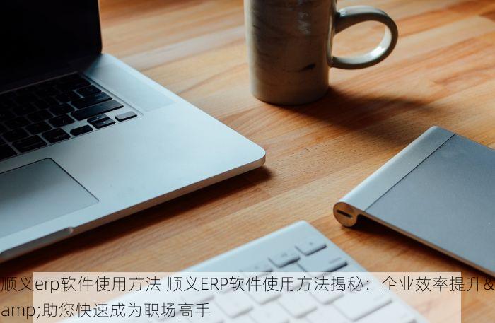 顺义erp软件使用方法 顺义ERP软件使用方法揭秘：企业效率提升&助您快速成为职场高手