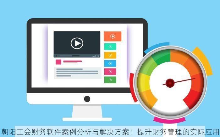 朝阳工会财务软件案例分析与解决方案：提升财务管理的实际应用